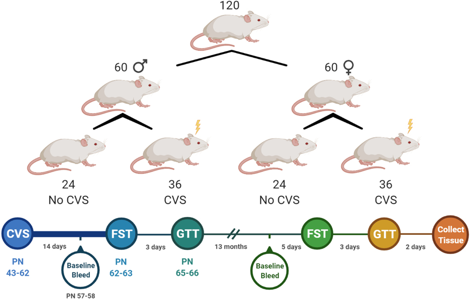 Figure 1: