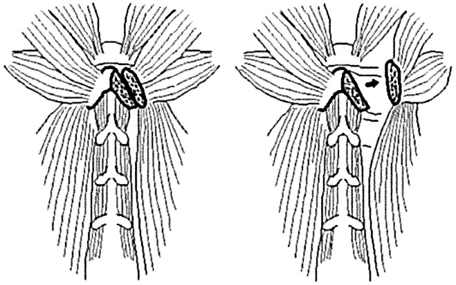 Fig. 2.