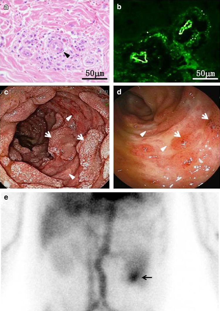 Fig. 2