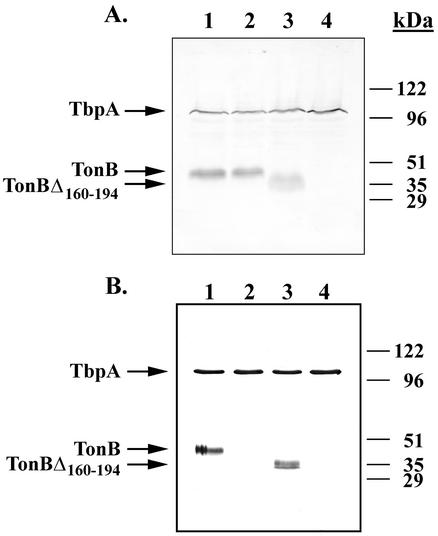 FIG. 5.