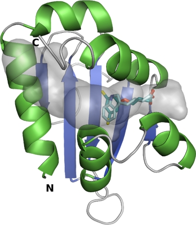 Fig. 9.