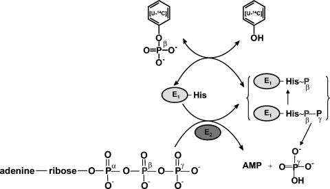 FIG. 9.