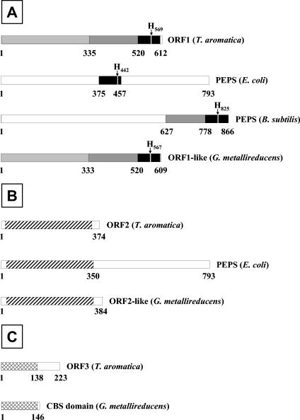 FIG. 10.