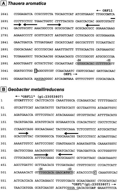 FIG. 8.