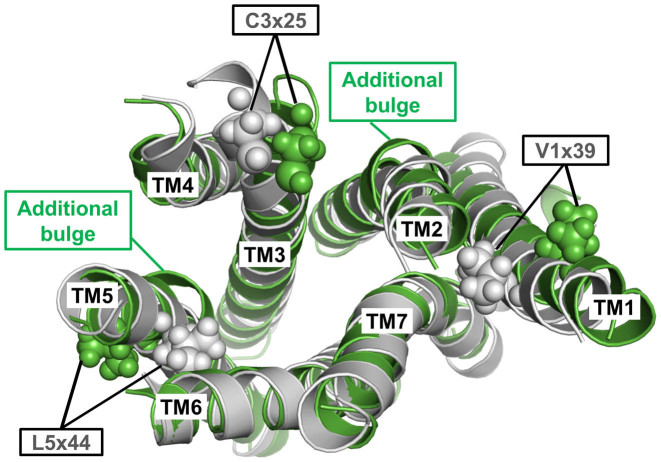 Figure 4.