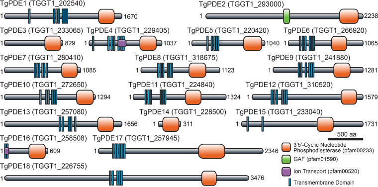 FIG 1