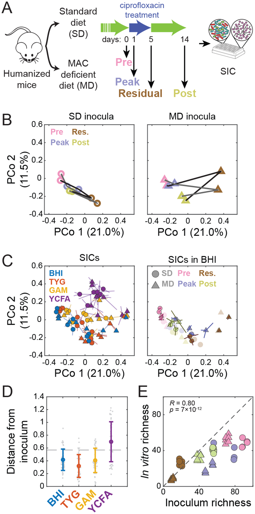 Figure 3: