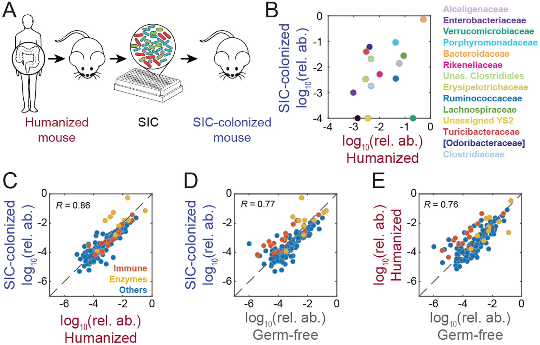 Figure 2: