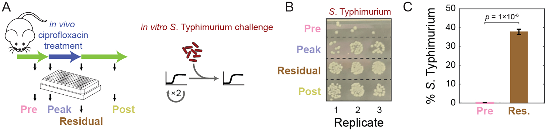 Figure 4: