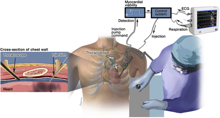 Figure 2