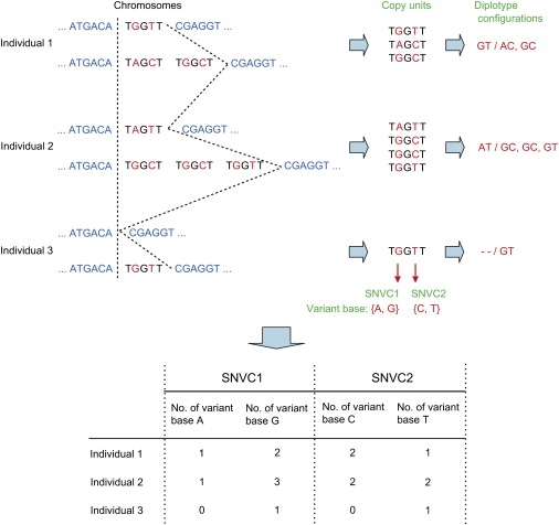 Figure 1