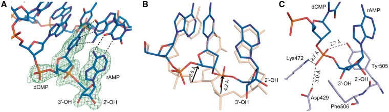 Figure 3.