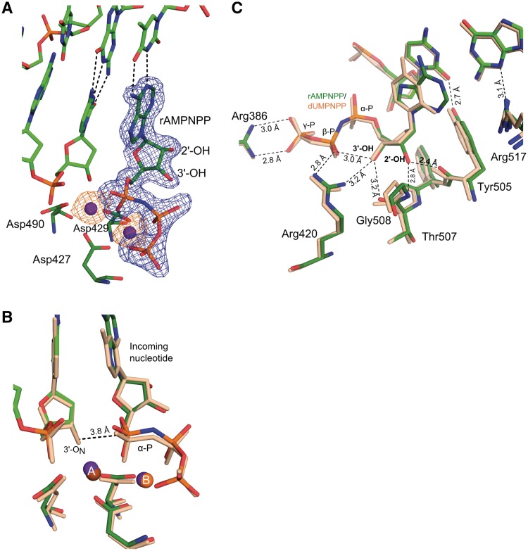 Figure 2.