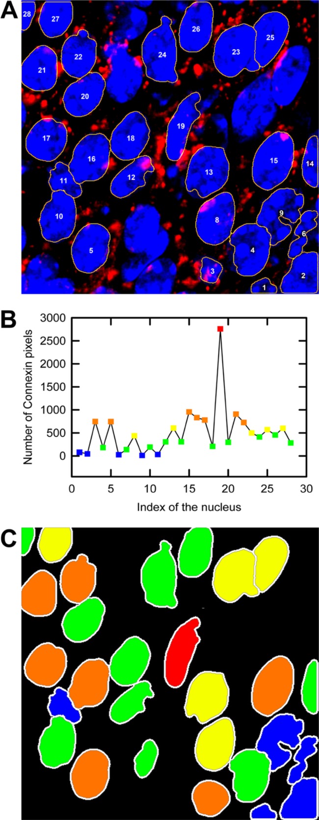 Figure 6.