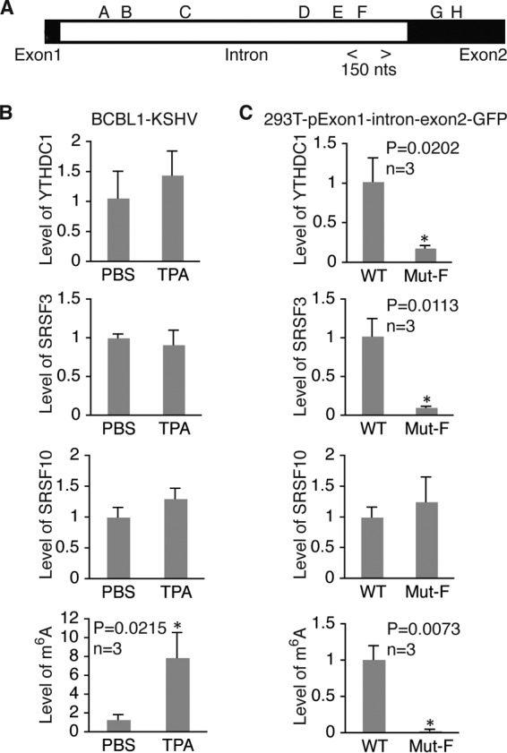 FIG 13