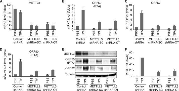 FIG 6