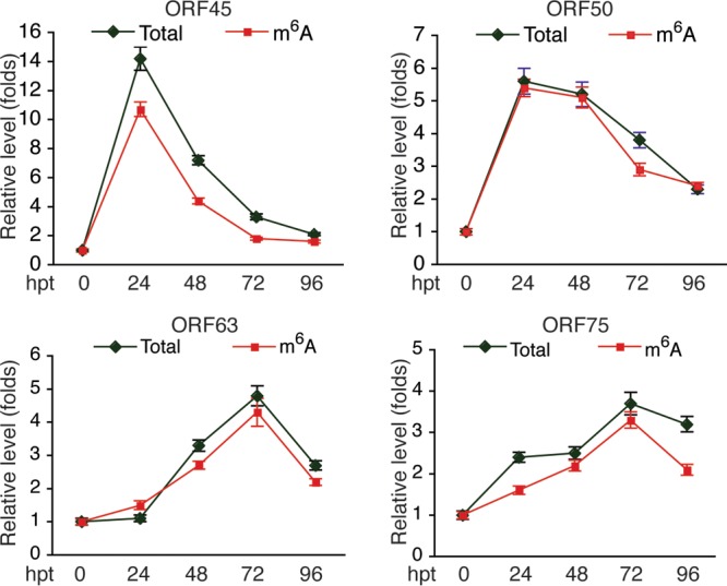 FIG 3