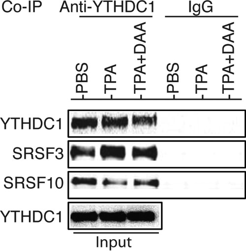 FIG 10