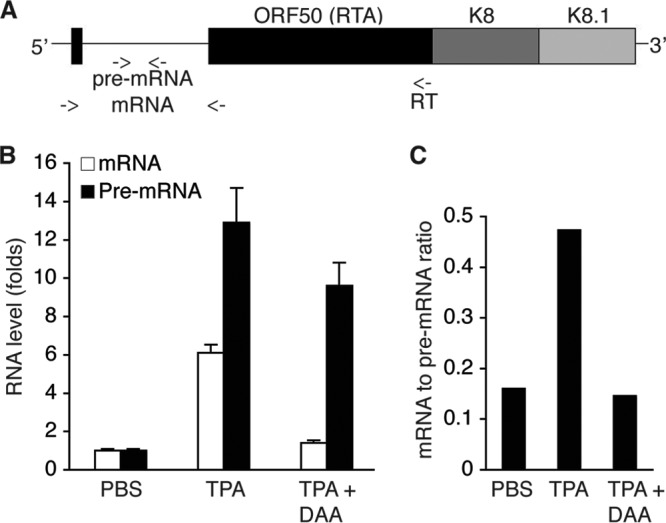 FIG 8