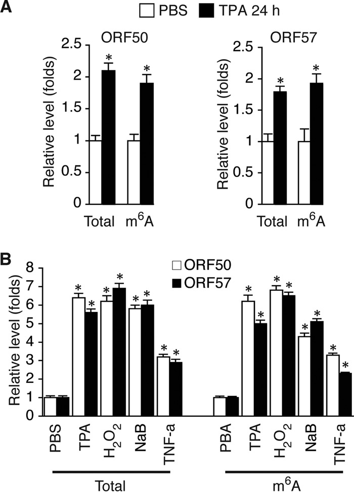 FIG 4