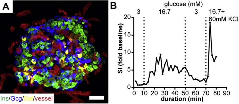 Figure 2