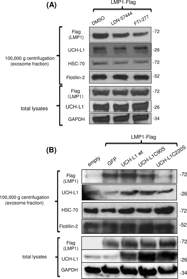 FIG 3 