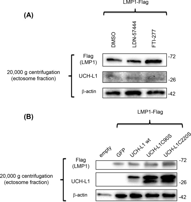 FIG 4 