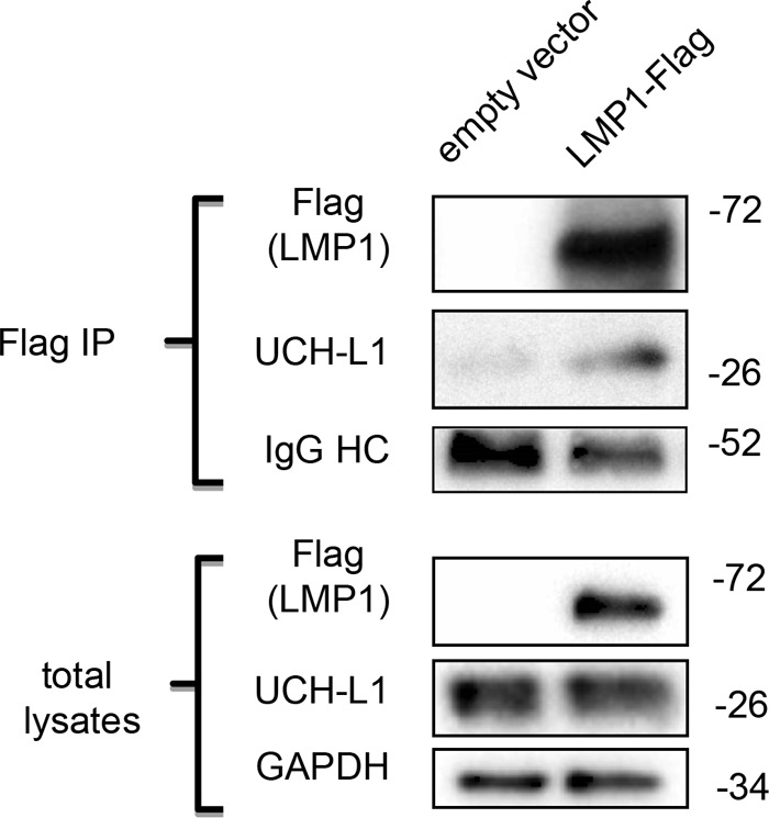 FIG 1 