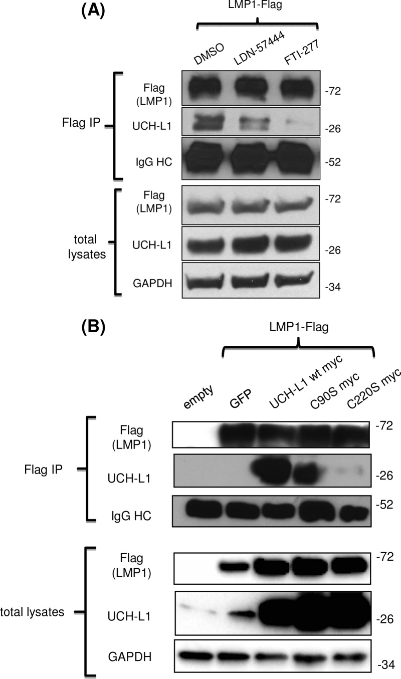 FIG 2 