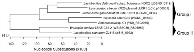 FIGURE 3