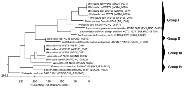 FIGURE 1