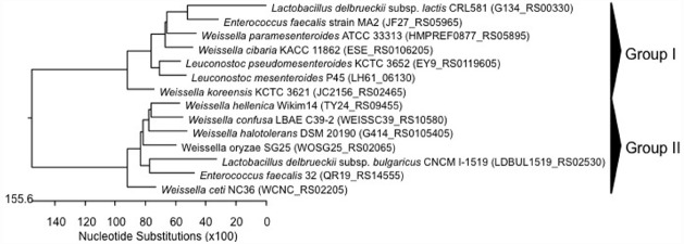 FIGURE 4