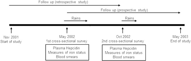 Fig. 1