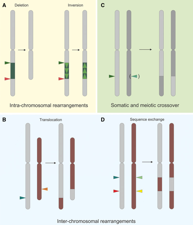 Fig. 2