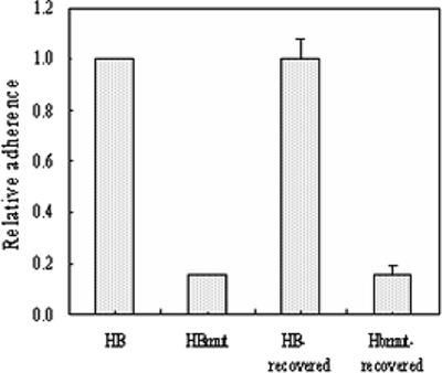 FIG. 2.