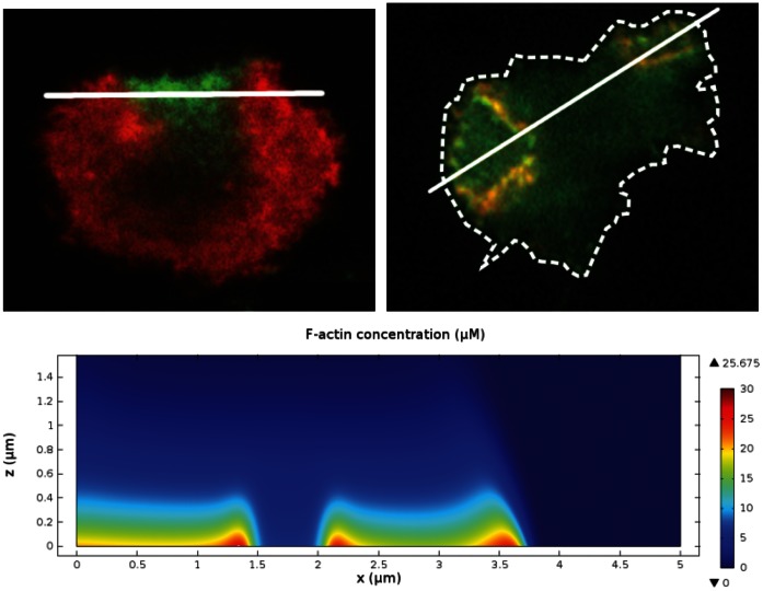 Figure 17