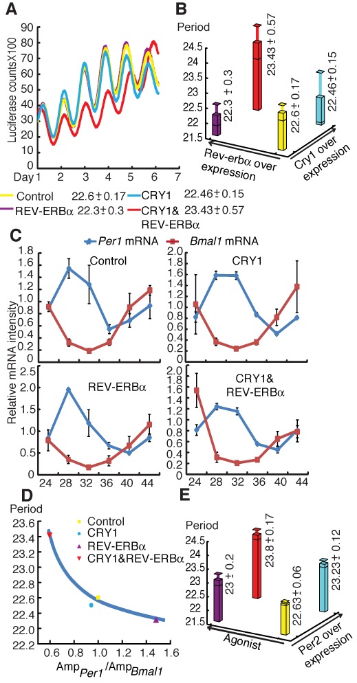 Figure 5.