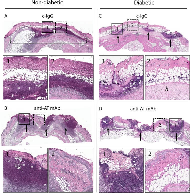 FIG 3