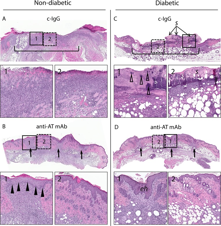 FIG 4