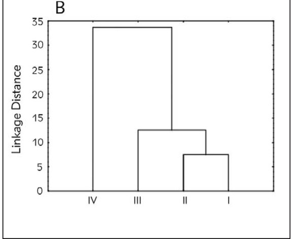 Figure 3B