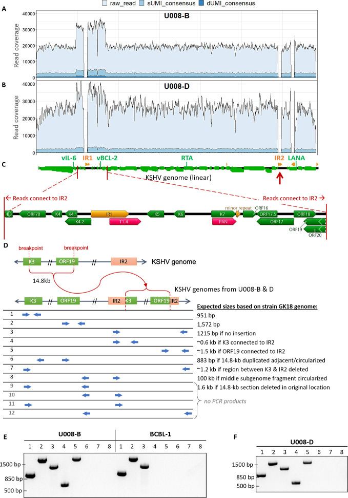 Fig 6