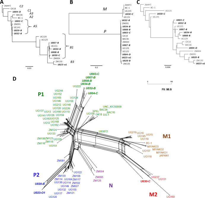 Fig 4