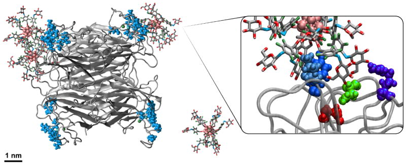 Figure 16