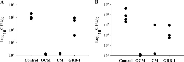 Fig 5