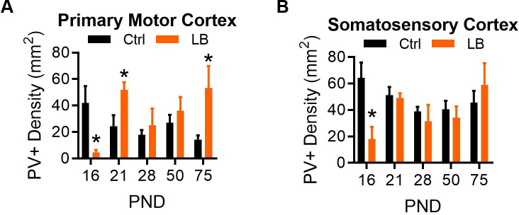 Figure 4—figure supplement 1.