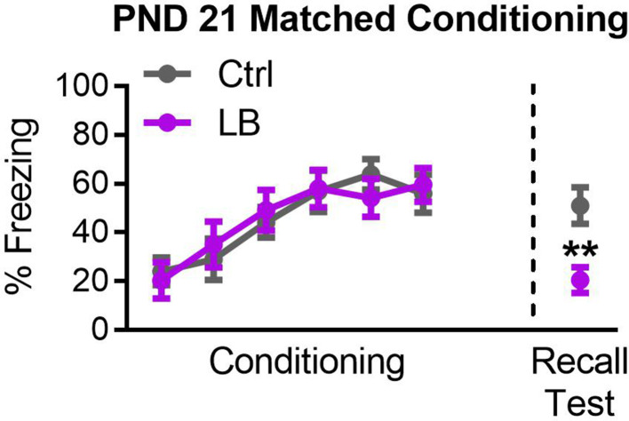 Figure 2—figure supplement 1.