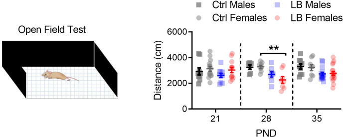 Figure 3—figure supplement 3.