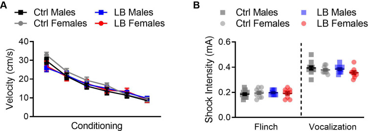 Figure 3—figure supplement 4.