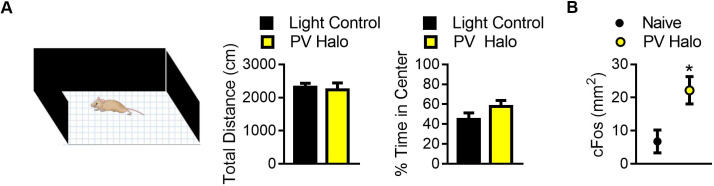 Figure 5—figure supplement 2.