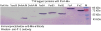 FIG 9